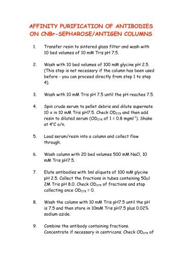 AFFINITY PURIFICATION OF ANTIBODIES ON CNBr-SEPHAROSE ...