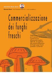 Commercializzazione dei funghi - UNPISI
