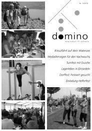 domino - TV Veltheim