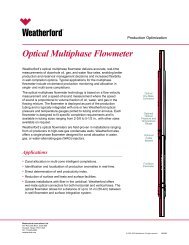 Optical Multiphase Flowmeter - Weatherford International