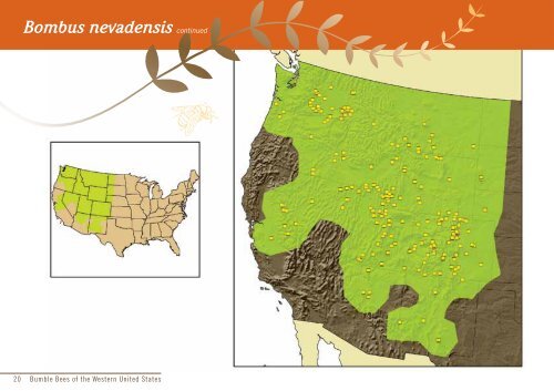 Bumble Bees of the Western United States - USDA Forest Service