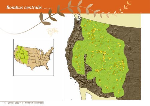 Bumble Bees of the Western United States - USDA Forest Service