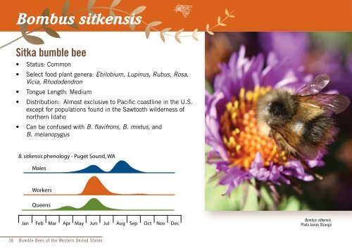 Bumble Bees of the Western United States - USDA Forest Service
