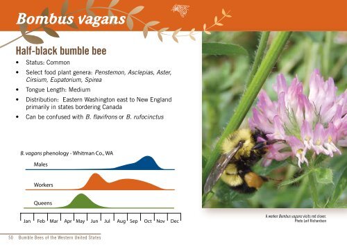 Bumble Bees of the Western United States - USDA Forest Service