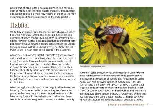 Bumble Bees of the Western United States - USDA Forest Service