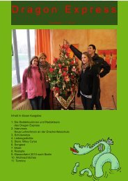 Ausgabe Dezember 2010 - Drachenfelsschule