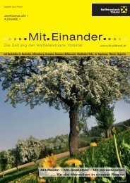 MitEinander_Fruehjahr2011 (pdf) - Raiffeisenbank Ybbstal