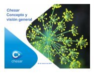 Chesar Concepto y visión general - Europa