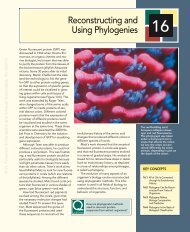 Reconstructing and Using Phylogenies 16 - W.H. Freeman