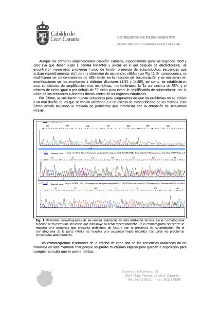 TipificaciÃ³n genÃ©tica. AnÃ¡lisis genÃ©ticos de ... - Interreg Bionatura