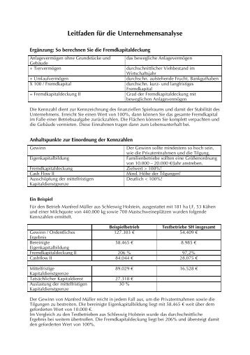 Leitfaden für die Unternehmensanalyse