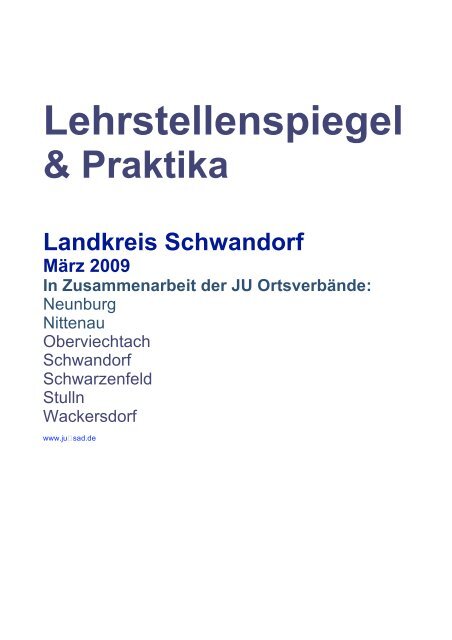 Lehrstellenspiegel & Praktika Landkreis Schwandorf März 2009 In ...