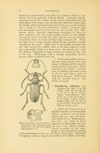 Coleoptera. Vol. I. [Longicornia. Part I.]