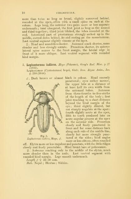 Coleoptera. Vol. I. [Longicornia. Part I.]