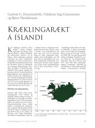 Kræklingarækt á Íslandi - Sjavarutvegur.is