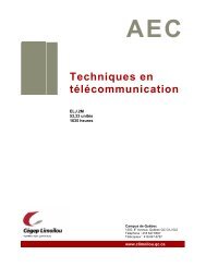 AEC Techniques en télécommunication - Cégep Limoilou