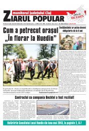 Cum a petrecut oraşul „În florar la Huedin” - Monitorul de Cluj