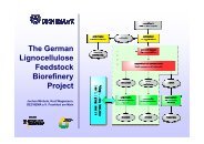 The German Lignocellulose Feedstock Biorefinery Project