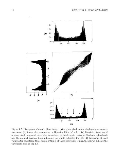 Chapter 4 SEGMENTATION