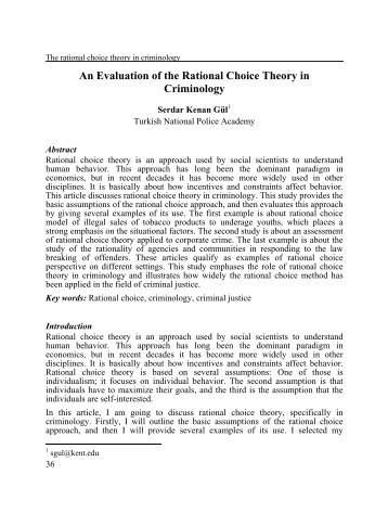 An Evaluation of the Rational Choice Theory in