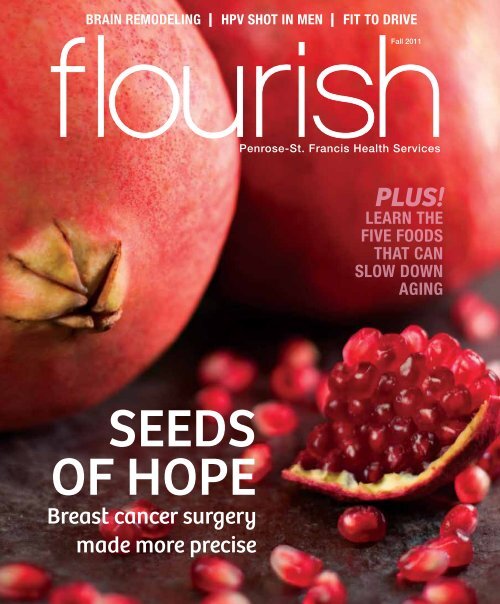 Fall 2011 PenroseSt. Francis