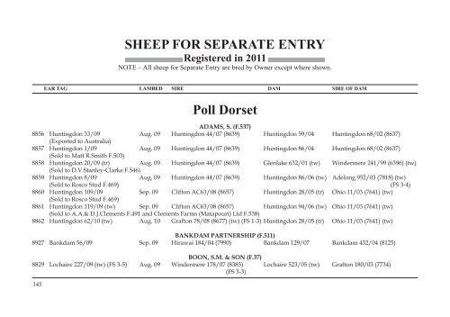 SHEEP FOR SEPARATE ENTRY Poll Dorset