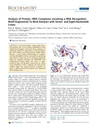 Analysis of Protein−RNA Complexes Involving a RNA Recognition ...