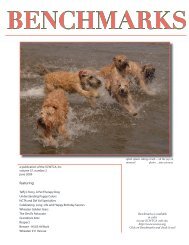 Benchmarks - Soft Coated Wheaten Terrier Club of America