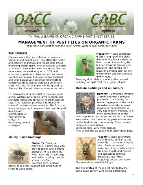 management of pest flies on organic farms - Le centre d'agriculture ...