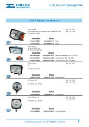 Alfatronix Spannungswandler 24V->12V 6A – Hoelzle