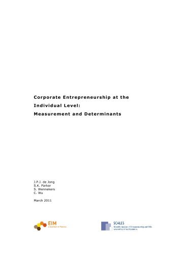 Corporate Entrepreneurship at the Individual Level: Measurement ...