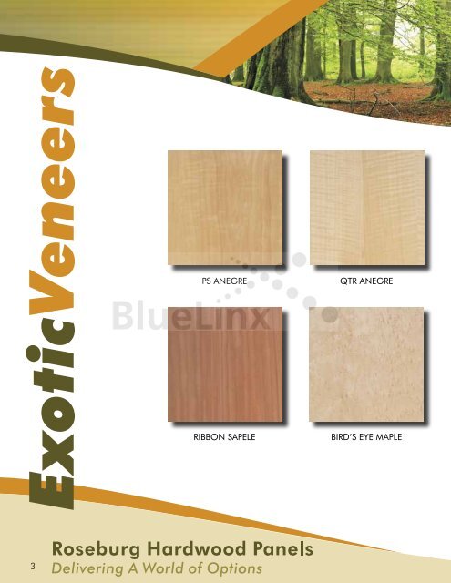 Roseburg Hardwood Panels Brochure - BlueLinx