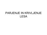 PARJENJE IN KRIVLJENJE LESA