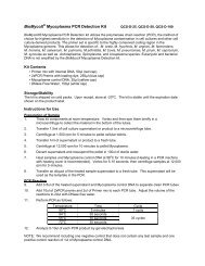 BioMycoX Mycoplasma PCR Detection Kit - QED Bioscience