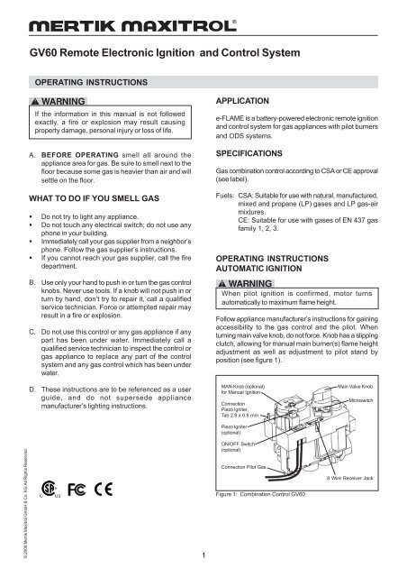 GV60 Remote Electronic Ignition and Control System - Valor