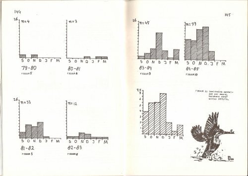 1985 nummer 4 - Vogelwerkgroep Nijmegen