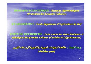 Lutte contre les stress biotiques et abiotiques des grandes cultures