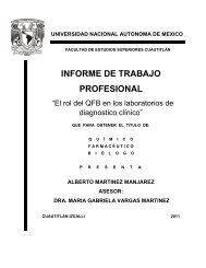 INFORME DE TRABAJO PROFESIONAL