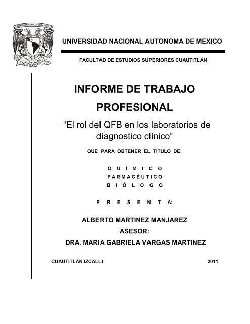 INFORME DE TRABAJO PROFESIONAL