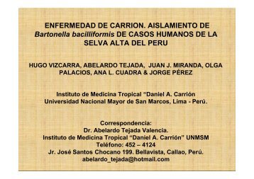 Enfermedad de CarriÃ³n: aislamiento de Bartonella bacilliformis de ...