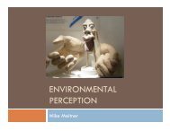 ENVIRONMENTAL PERCEPTION - Ideal.forestry.ubc.ca