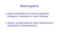 Bioenergetica - Uninsubria - Sede di Busto Arsizio