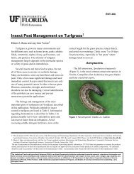 Insect Pest Management on Turfgrass - Polk County Extension ...