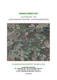 Bebauungsplan Nie - 118 - Umweltbericht - Gemeinde Niederkrüchten