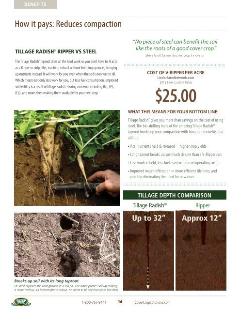 Tillage RadishÂ® Resource Guide - Cover Crop Solutions