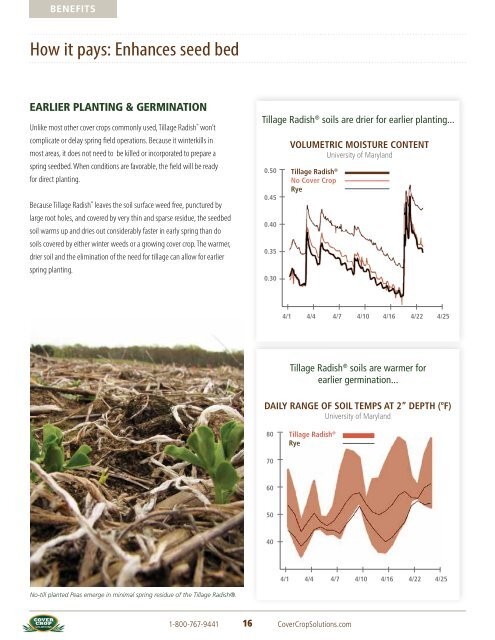 Tillage RadishÂ® Resource Guide - Cover Crop Solutions