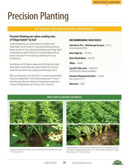 Tillage RadishÂ® Resource Guide - Cover Crop Solutions