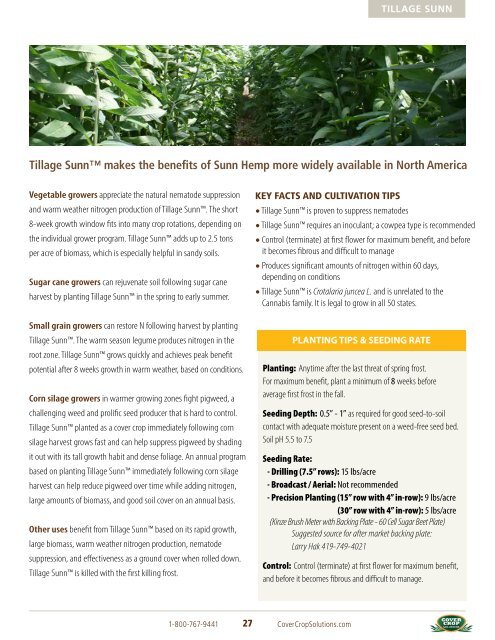 Tillage RadishÂ® Resource Guide - Cover Crop Solutions