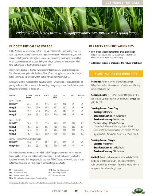 Tillage RadishÂ® Resource Guide - Cover Crop Solutions