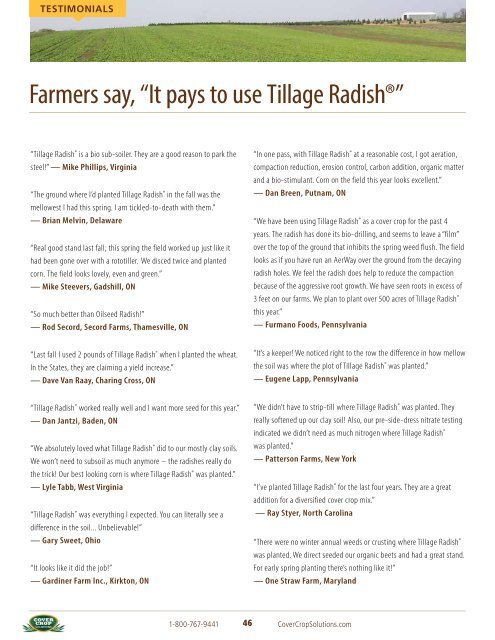 Tillage RadishÂ® Resource Guide - Cover Crop Solutions